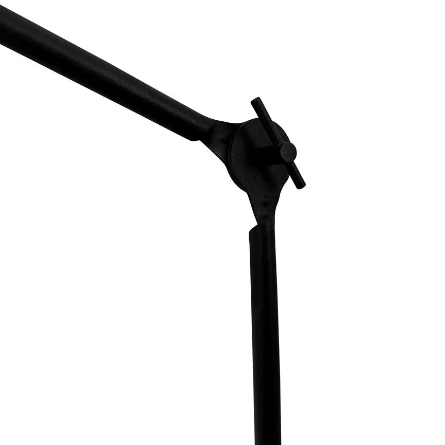 Lotus – Detail